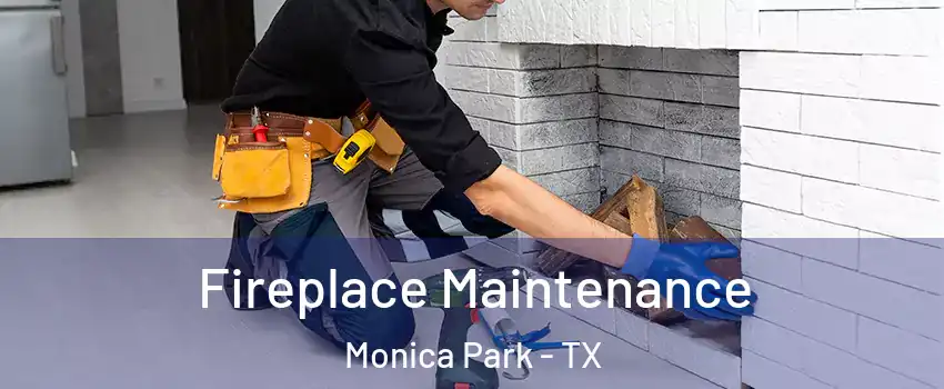 Fireplace Maintenance Monica Park - TX