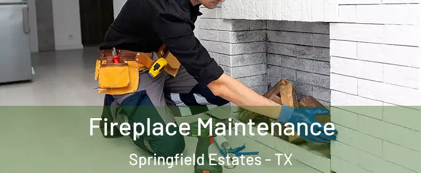 Fireplace Maintenance Springfield Estates - TX