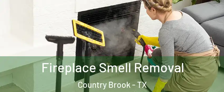 Fireplace Smell Removal Country Brook - TX