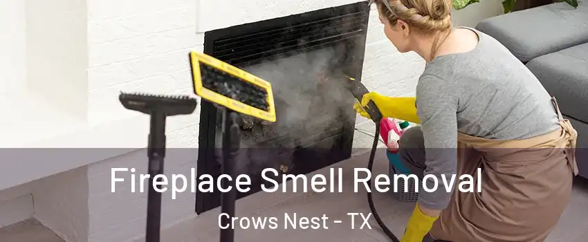 Fireplace Smell Removal Crows Nest - TX