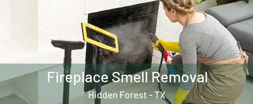 Fireplace Smell Removal Hidden Forest - TX