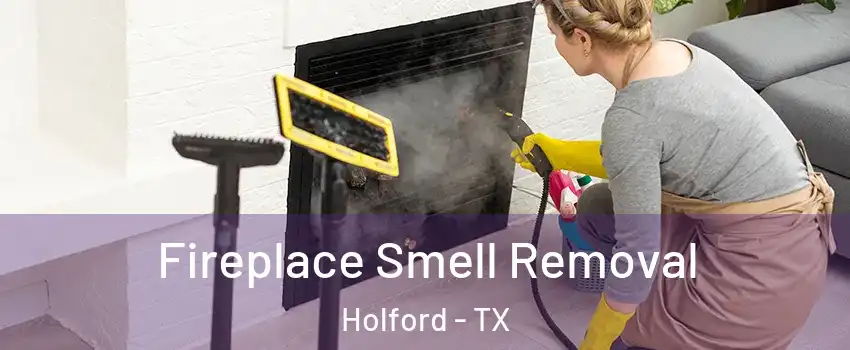 Fireplace Smell Removal Holford - TX