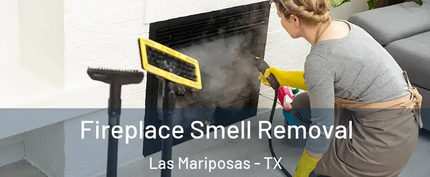 Fireplace Smell Removal Las Mariposas - TX