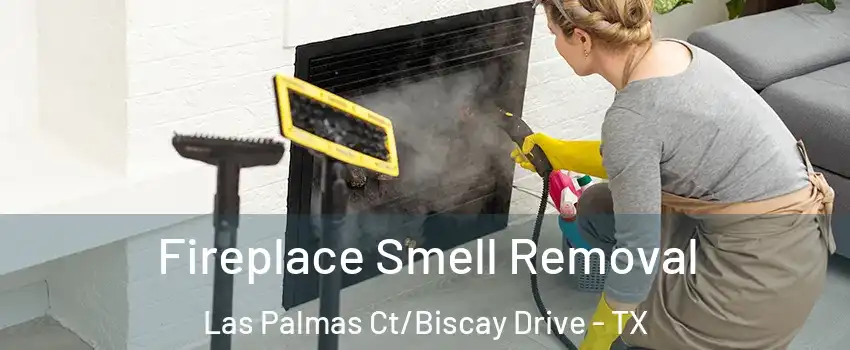 Fireplace Smell Removal Las Palmas Ct/Biscay Drive - TX