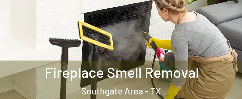 Fireplace Smell Removal Southgate Area - TX