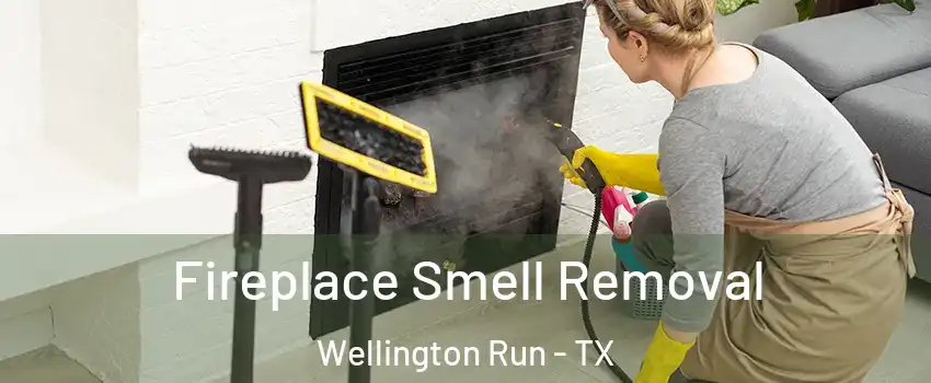 Fireplace Smell Removal Wellington Run - TX