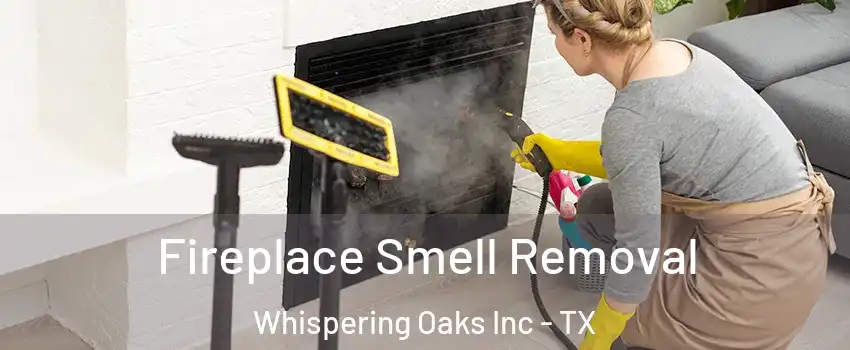 Fireplace Smell Removal Whispering Oaks Inc - TX