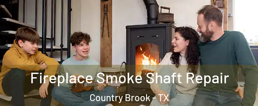 Fireplace Smoke Shaft Repair Country Brook - TX