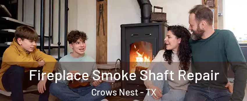 Fireplace Smoke Shaft Repair Crows Nest - TX