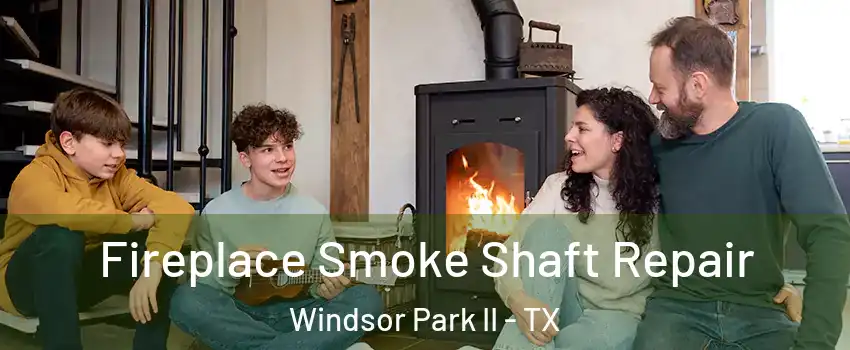 Fireplace Smoke Shaft Repair Windsor Park II - TX