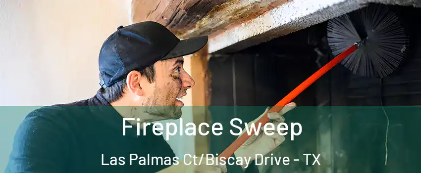 Fireplace Sweep Las Palmas Ct/Biscay Drive - TX