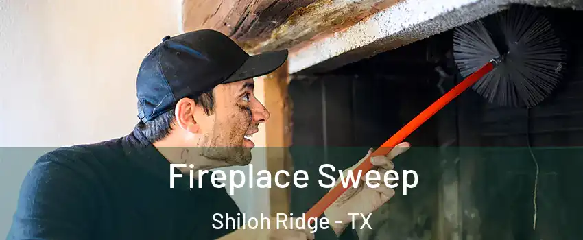 Fireplace Sweep Shiloh Ridge - TX