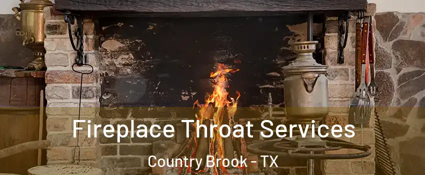 Fireplace Throat Services Country Brook - TX