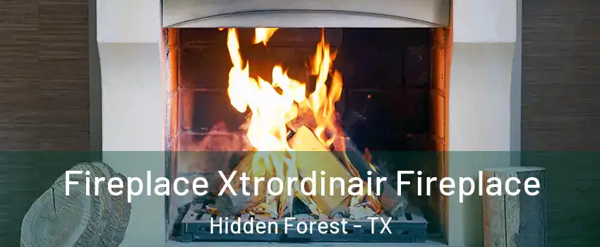 Fireplace Xtrordinair Fireplace Hidden Forest - TX