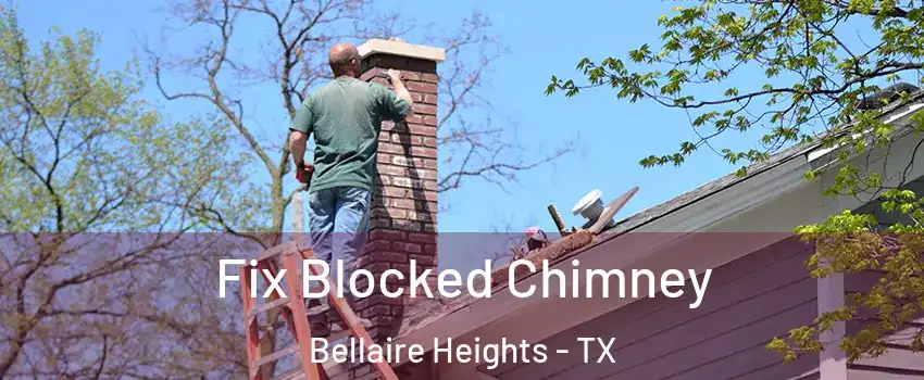 Fix Blocked Chimney Bellaire Heights - TX