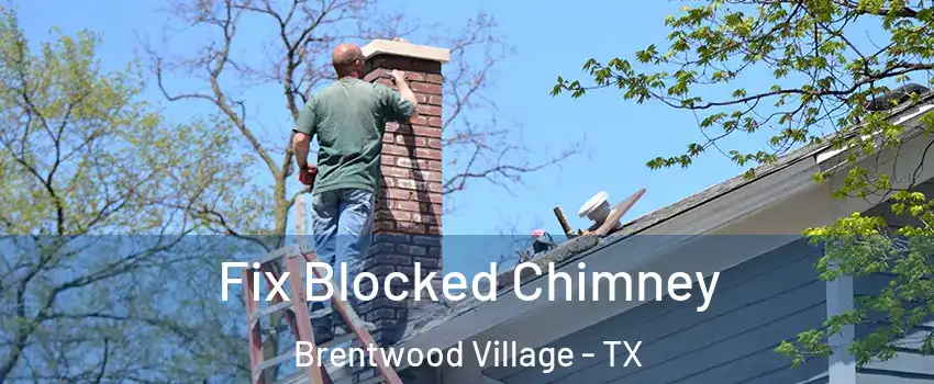 Fix Blocked Chimney Brentwood Village - TX