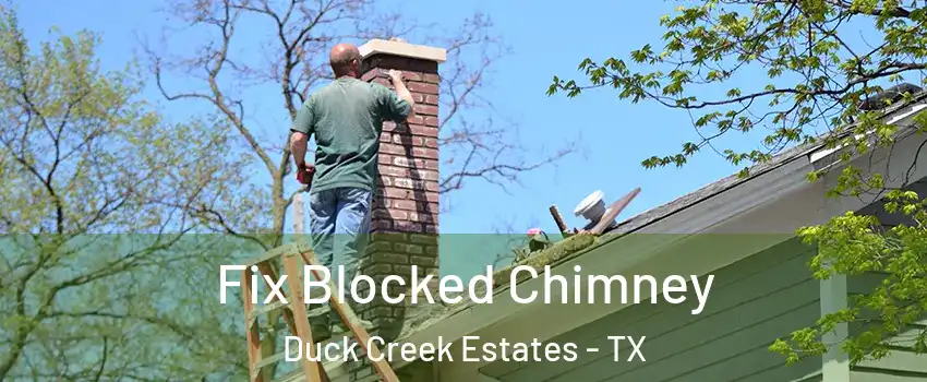 Fix Blocked Chimney Duck Creek Estates - TX