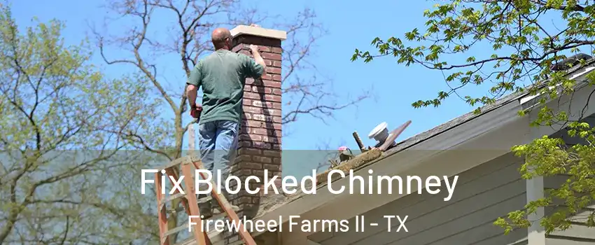 Fix Blocked Chimney Firewheel Farms II - TX