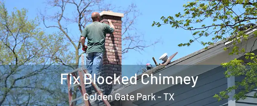 Fix Blocked Chimney Golden Gate Park - TX