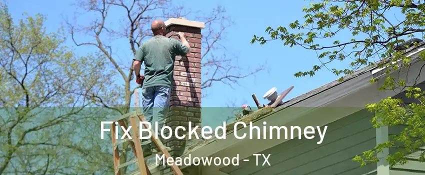 Fix Blocked Chimney Meadowood - TX