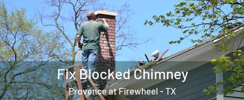 Fix Blocked Chimney Provence at Firewheel - TX