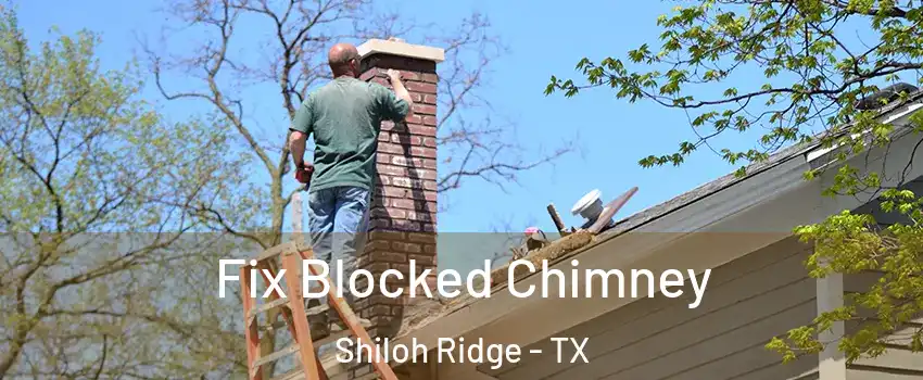 Fix Blocked Chimney Shiloh Ridge - TX