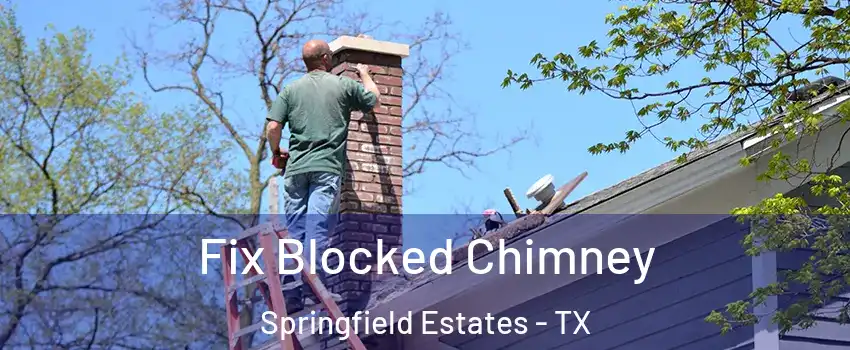 Fix Blocked Chimney Springfield Estates - TX