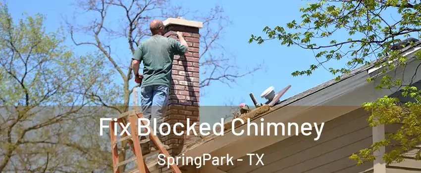 Fix Blocked Chimney SpringPark - TX