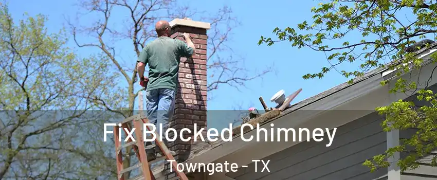 Fix Blocked Chimney Towngate - TX