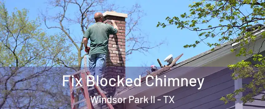 Fix Blocked Chimney Windsor Park II - TX