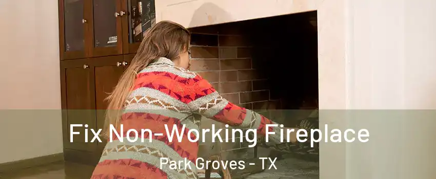 Fix Non-Working Fireplace Park Groves - TX