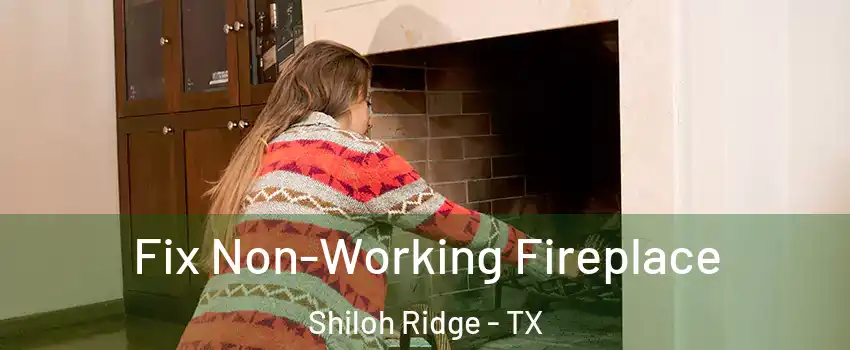 Fix Non-Working Fireplace Shiloh Ridge - TX