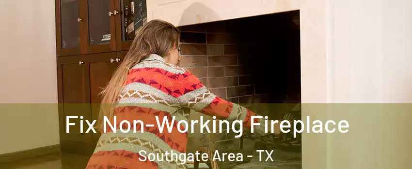 Fix Non-Working Fireplace Southgate Area - TX