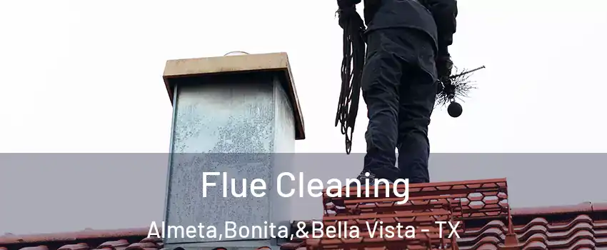 Flue Cleaning Almeta,Bonita,&Bella Vista - TX