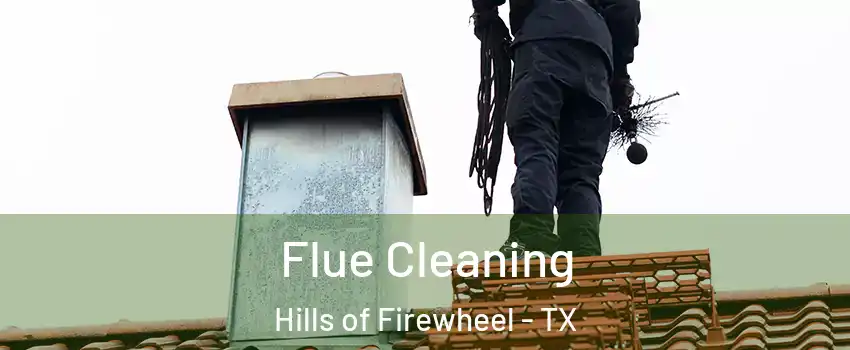 Flue Cleaning Hills of Firewheel - TX