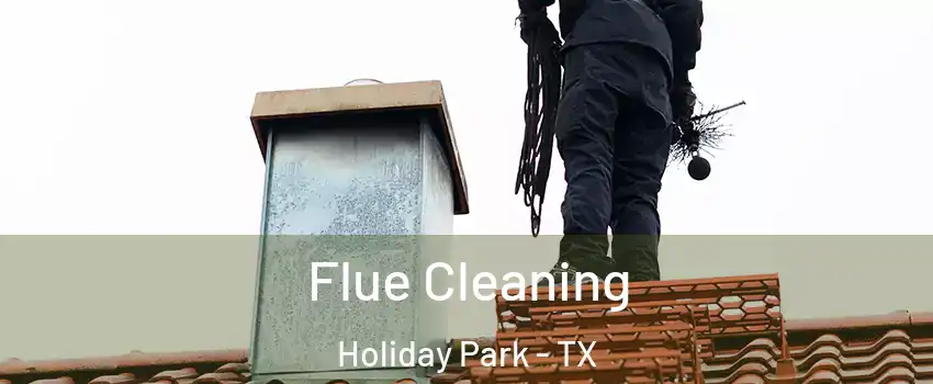 Flue Cleaning Holiday Park - TX