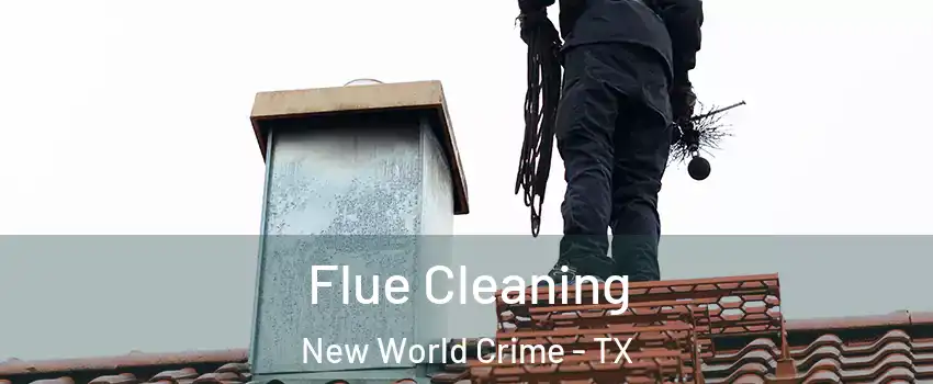 Flue Cleaning New World Crime - TX