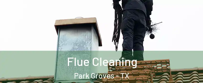 Flue Cleaning Park Groves - TX