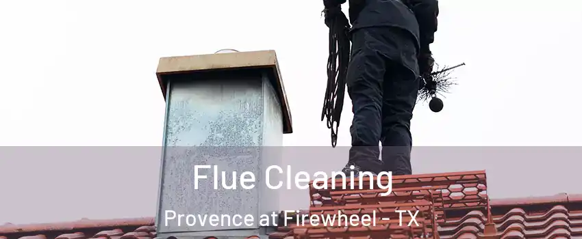 Flue Cleaning Provence at Firewheel - TX