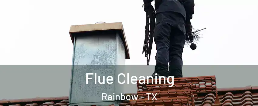 Flue Cleaning Rainbow - TX