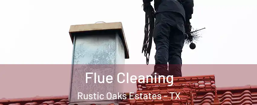 Flue Cleaning Rustic Oaks Estates - TX