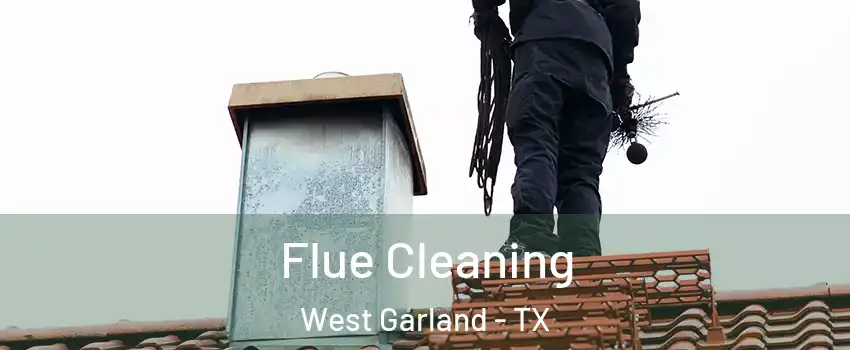 Flue Cleaning West Garland - TX