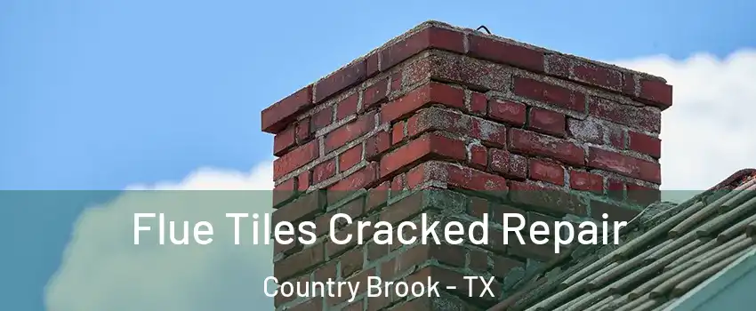 Flue Tiles Cracked Repair Country Brook - TX