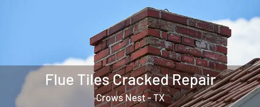 Flue Tiles Cracked Repair Crows Nest - TX