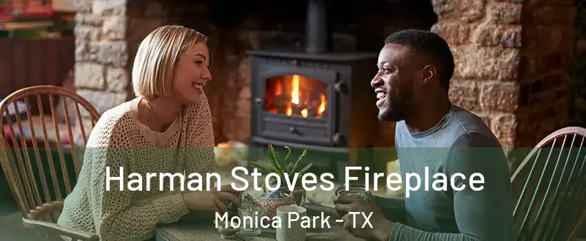 Harman Stoves Fireplace Monica Park - TX