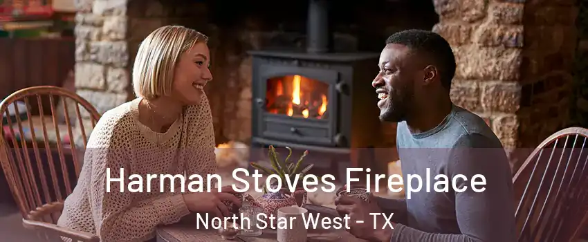 Harman Stoves Fireplace North Star West - TX