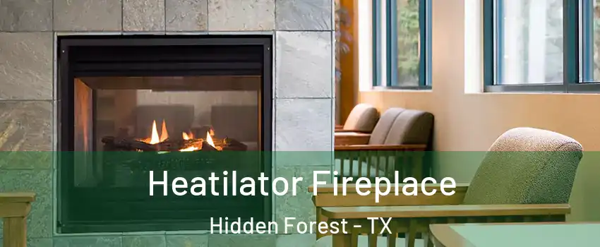 Heatilator Fireplace Hidden Forest - TX