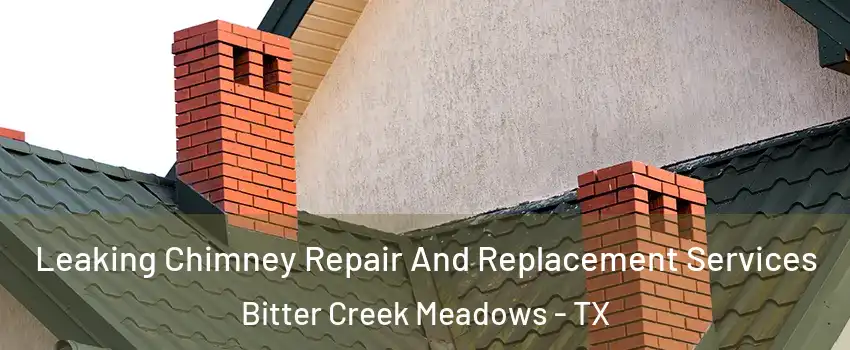 Leaking Chimney Repair And Replacement Services Bitter Creek Meadows - TX