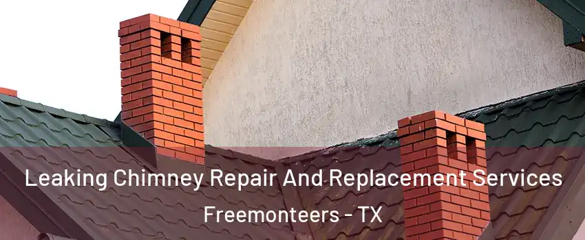 Leaking Chimney Repair And Replacement Services Freemonteers - TX