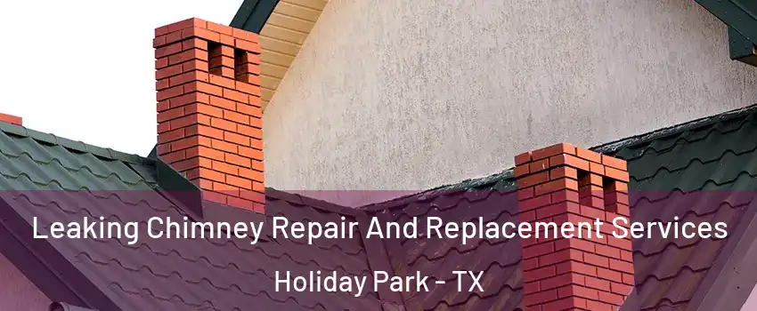 Leaking Chimney Repair And Replacement Services Holiday Park - TX